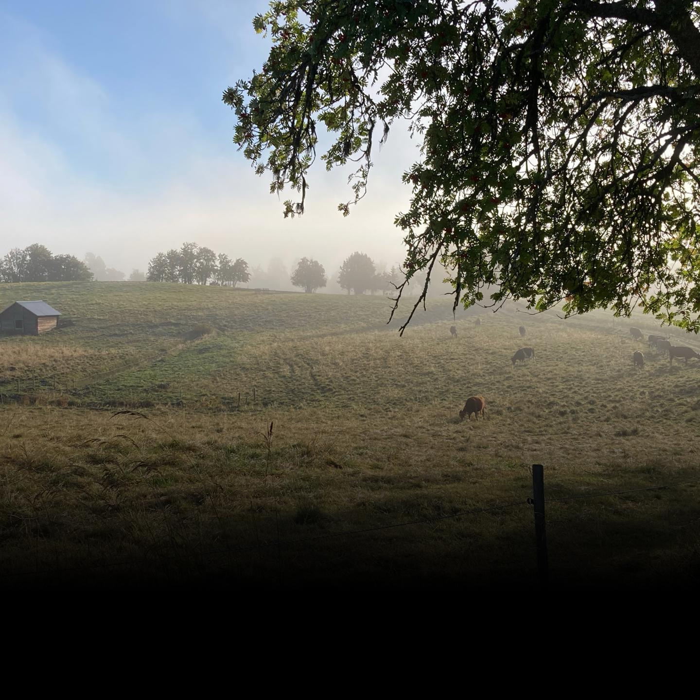 Katja Kristoffersson Kresspu8ilu Unsplash (1)